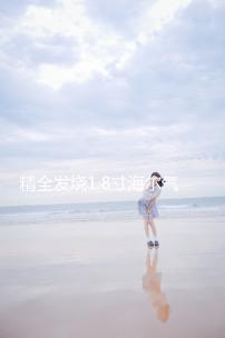 精全發燒1.8寸海爾氣動式超帶式喇叭單元 汽車高音頭AMT-47