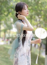 五菱宏光S3儀表臺避光墊汽車改裝配件專用裝飾前臺中控防曬遮光墊