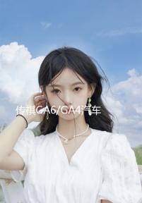 傳祺GA6/GA4汽車后備箱改裝專用隔板裝飾隔物板收納配件儲(chǔ)物尾箱