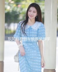 東風特商倒車鏡原裝神宇擎宇三環大運風度倒車鏡汽車反光鏡后視鏡