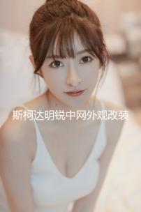 斯柯達(dá)明銳中網(wǎng)外觀改裝配件昊銳汽車前臉保險(xiǎn)杠專用裝飾條晶銳