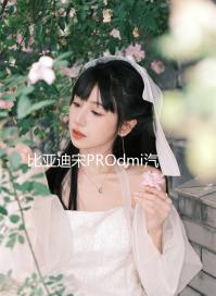 比亞迪宋PROdmi汽車專用隔板裝飾隔物板收納配件儲物尾箱