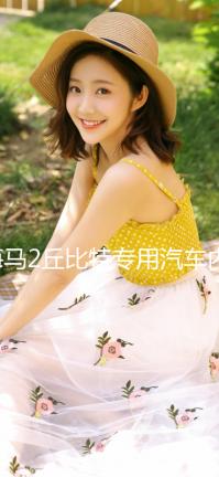 海馬2丘比特專用汽車內(nèi)飾裝飾改裝配件中控儀表臺防曬遮光避光墊