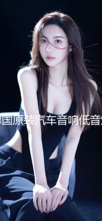 德國(guó)原裝汽車音響低音炮D類數(shù)字單路功放3000W雙音圈大功率功放板