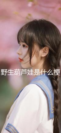 野生葫蘆娃是什么梗 