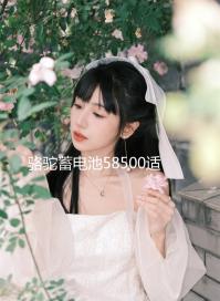 駱駝蓄電池58500適用五菱之光榮光鴻途野馬48AH汽車(chē)電瓶 以舊換新