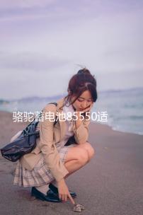 駱駝蓄電池85550適配凱越雪佛蘭吉普指南者汽車電瓶55AH 以舊換新