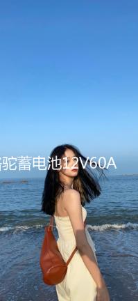 駱駝蓄電池12V60AH汽車電瓶L2400適配大眾POLO寶來朗逸標致領克02