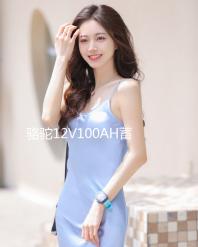 駱駝12V100AH蓄電池貨車三輪拖拉機柴油車發(fā)電機低溫強勁汽車電瓶