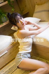 D類數字功放大功率專推單音圈雙音圈10寸12寸喇叭無源低音炮功放