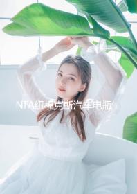 NFA紐福克斯汽車電瓶充電器12V 2/10/25A大功率蓄電池快速充電機