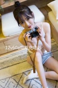 12v60a電瓶充電器汽車(chē)摩托車(chē)充電機(jī)全銅24v通用快速大功率蓄電池