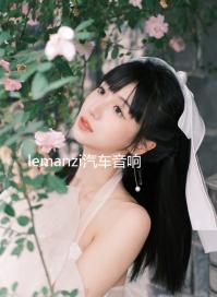 lemanzi汽車(chē)音響四路4聲道功放大功率車(chē)載車(chē)門(mén)喇叭低音炮功放